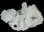 Green Prehnite Crystal Cluster - India #44369-1